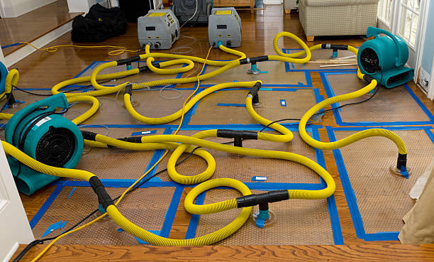 Professional Crawl Space Water Removal technician working in Florissant, CO